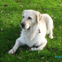 Photo de profil de Uffy