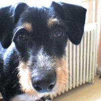Photo de profil de Jessy