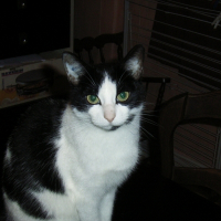 Photo de profil de Bandie