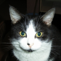 Photo de profil de Miminne