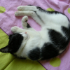 Photo de Pepito