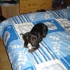 Photo de Delka