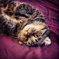 Photo de profil de Baggy