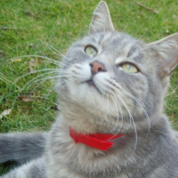Photo de profil de Grizly