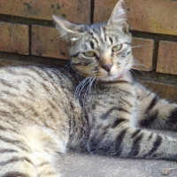 Photo de profil de Moogly