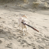 Photo de profil de Murphy