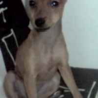 Photo de profil de Lilou