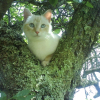 Photo de Blanche