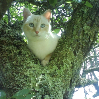 Photo de profil de Blanche