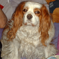 Photo de profil de Pritty