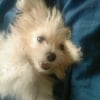 Photo de Echo