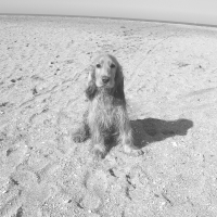 Photo de profil de Boomker