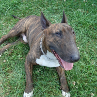 Photo de profil de Tupac