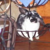Photo de Pampam