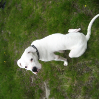 Photo de profil de Ghost