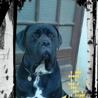 Photo de profil de Cana