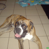 Photo de profil de Tanguy