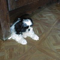Photo de profil de Emma lou