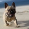Photo de Diego