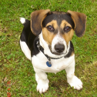 Photo de profil de Diégo