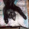 Photo de Sookie
