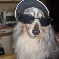 Photo de profil de Mavrick