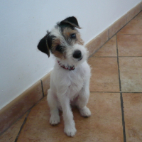 Photo de profil de Ellipse