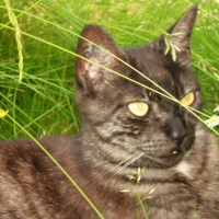 Photo de profil de Moon