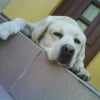 Photo de Paco