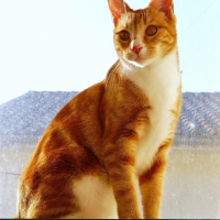 Photo de profil de Troy