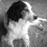 Photo de profil de Max