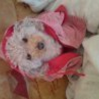 Photo de profil de Liloo