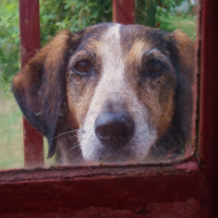 Photo de profil de Louna