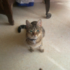 Photo de Babouchka