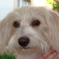 Photo de profil de Bianca