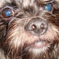 Photo de profil de Titan