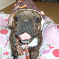 Photo de profil de Titou