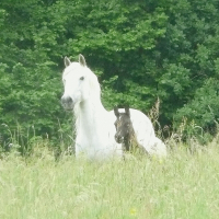 Photo de profil de Lolita