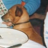 Photo de Zoé