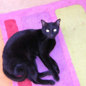 Photo de profil de Manon( fouifouille)