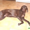 Photo de Cika