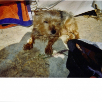 Photo de profil de Oliver