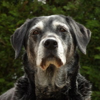 Photo de profil de Maya
