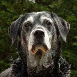 Photo de profil de Maya