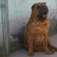 Photo de profil de Donna
