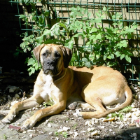 Photo de profil de Nacha