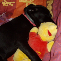 Photo de profil de Lola