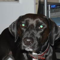 Photo de profil de Arya