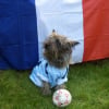 Photo de Vulcain