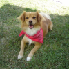 Photo de Lucky